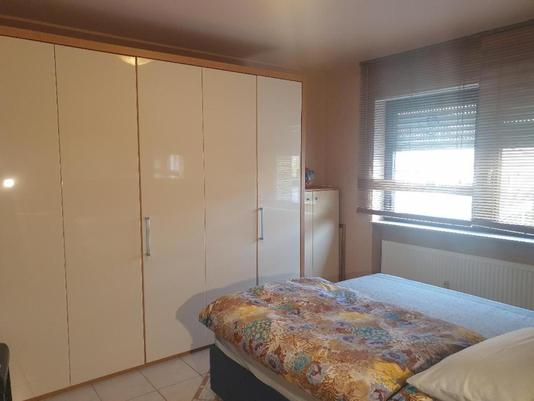 Rose'S Ferienwohnung Freigericht 外观 照片